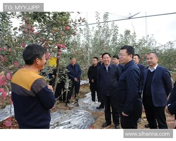 果园里的四季变迁与农业可持续发展的探索与实践