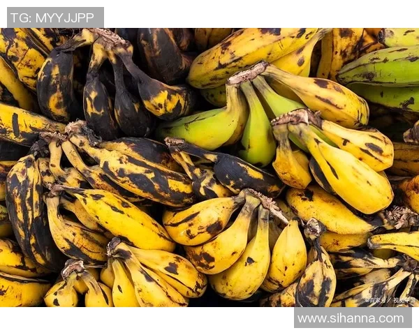 水果的丰富多样性与营养价值探索：从常见到稀有水果的健康奇迹