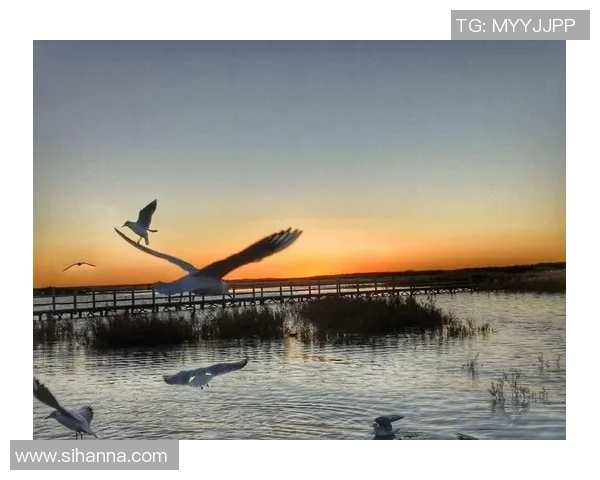 滑板人生的深度对话:杨磊与梦想的追逐与坚持