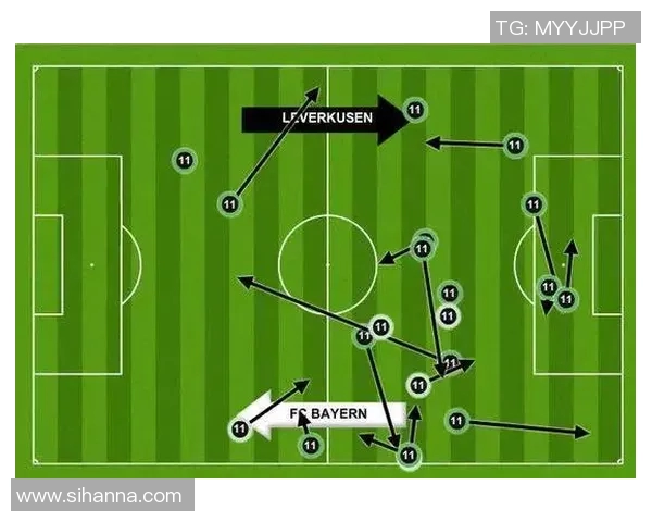 北京羽毛球队反击战术深度解析与实战应用探讨