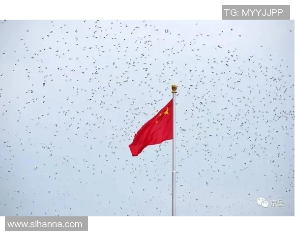 中国足球明星的辉煌岁月回忆视频合集带你重温激情瞬间与感动时刻